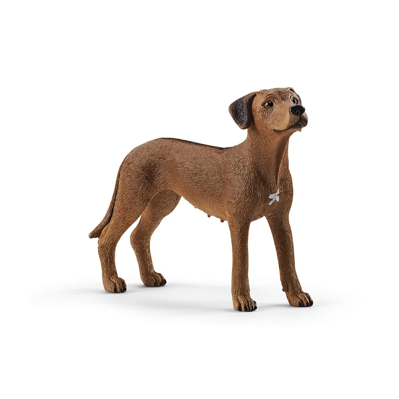 Zvířátko - pes ridgback rhodéský 