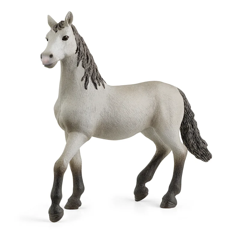 Zvířátko - hříbě andaluského koně