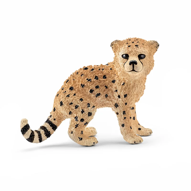 Zvířátko - mládě gepardí