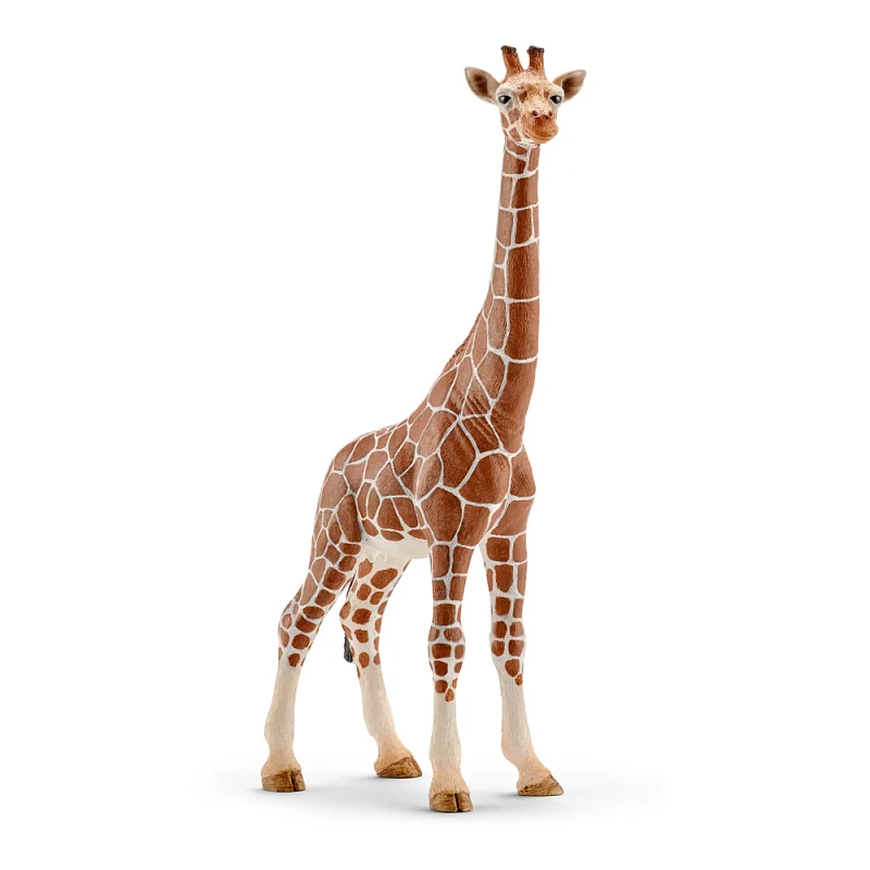 Zvířátko - samice žirafy