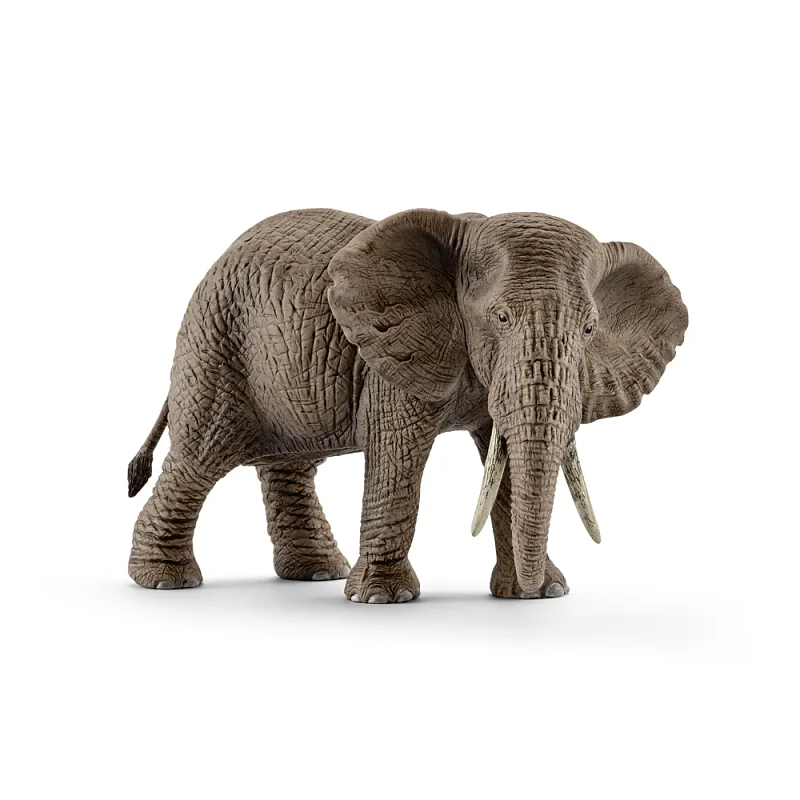 Zvířátko - samice slona afrického