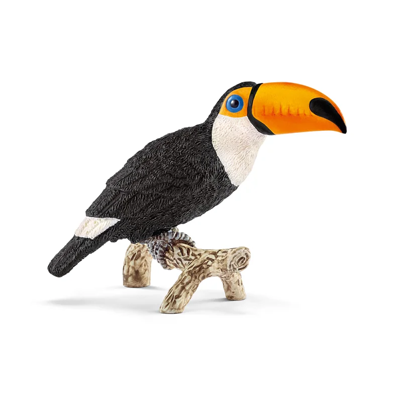 Zvířátko - tukan