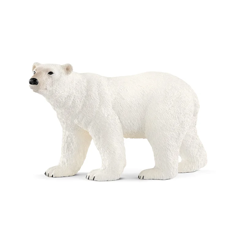 Zvířátko - lední medvěd