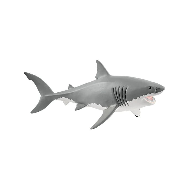 Zvířátko - velký bílý žralok