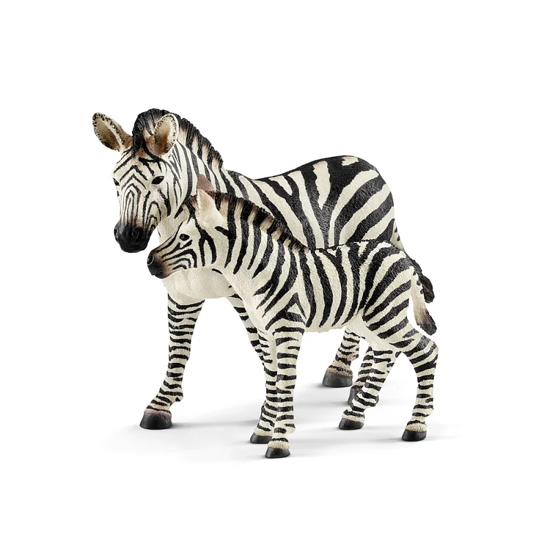 Zvířátko - mládě zebry