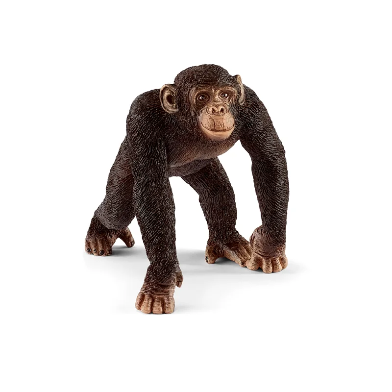 Zvířátko - šimpanzí mládě