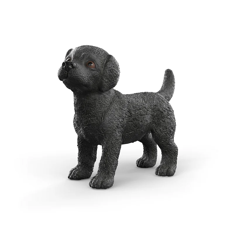 Zvířátko - černé štěně labradorského retrívra