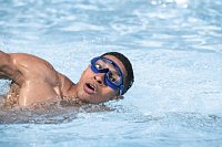 Plavecké brýle Tidal Surge Pro - assort, 14+