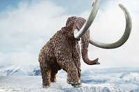 Prehistorické zvířátko - Mamut