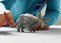 Prehistorické zvířátko - Triceratops