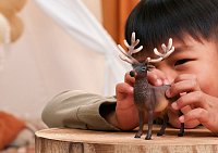 Zvířátko - jelen americký