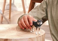 Zvířátko - vlk americký