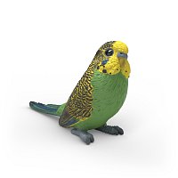 Zvířátko - andulka