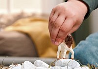 Zvířátko - kůzle burské kozy