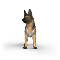 Zvířátko - fena německého ovčáka