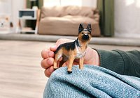 Zvířátko - fena německého ovčáka