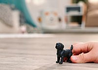 Zvířátko - černé štěně labradorského retrívra