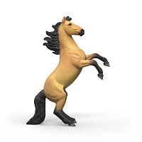 Zvířátko - hřebec mustanga