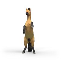 Zvířátko - hřebec mustanga