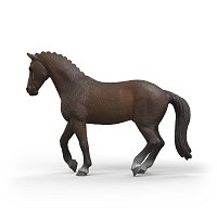 Zvířátko - KWPN valach