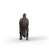 Zvířátko - KWPN valach