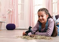 Zvířátko - lusitánský hřebec