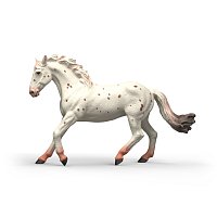 Zvířátko - klisna knabstrupského koně