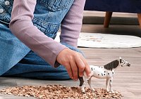 Zvířátko - valach knabstrupského koně