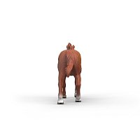 Zvířátko - hřebec anglického plnokrevníka