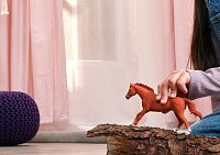 Zvířátko - hřebec anglického plnokrevníka