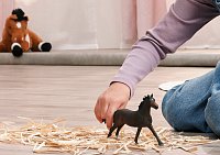 Zvířátko - klisna anglického plnokrevníka