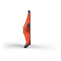 Zvířátko - mořská hvězdice, měnící barvy