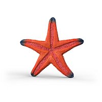 Zvířátko - mořská hvězdice, měnící barvy