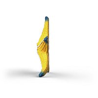 Zvířátko - mořská hvězdice, měnící barvy