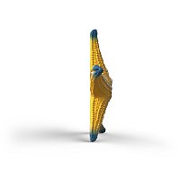 Zvířátko - mořská hvězdice, měnící barvy