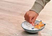 Zvířátko - mořská hvězdice, měnící barvy