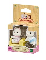 Pomeranian dvojčata baby