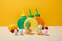 Rodina citrusových ptáčků