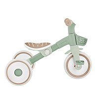 Tříkolka LEARNING TRIKE 2v1 PLUS ECOLOGIC, pistachio