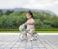 Tříkolka LEARNING TRIKE 2v1 PLUS ECOLOGIC, pistachio