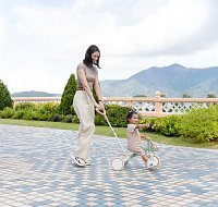 Tříkolka LEARNING TRIKE 3v1 PLUS ECOLOGIC, pistachio