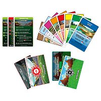 HASBRO - Monopoly Pokémon