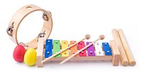 Musical set with wood sticks ( xylophone, sticks, tambourine, 2 maraca eggs )