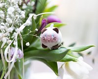 NICI MyMochi přívěsek Siamská kočka Siamy 5 cm, ležící