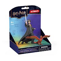 Harry Potter - Harry & Fawkes s mečem