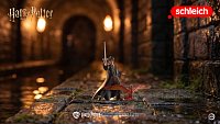 Harry Potter - Harry & Fawkes s mečem