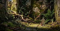 Harry Potter - Neville s mandragorou