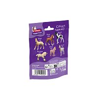 Sběratelské hříbě Ravi