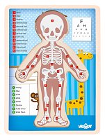 Puzzle ´´Lidské tělo´´ - Kluk SK