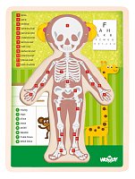 Puzzle ´´Lidské tělo´´ - Holka SK